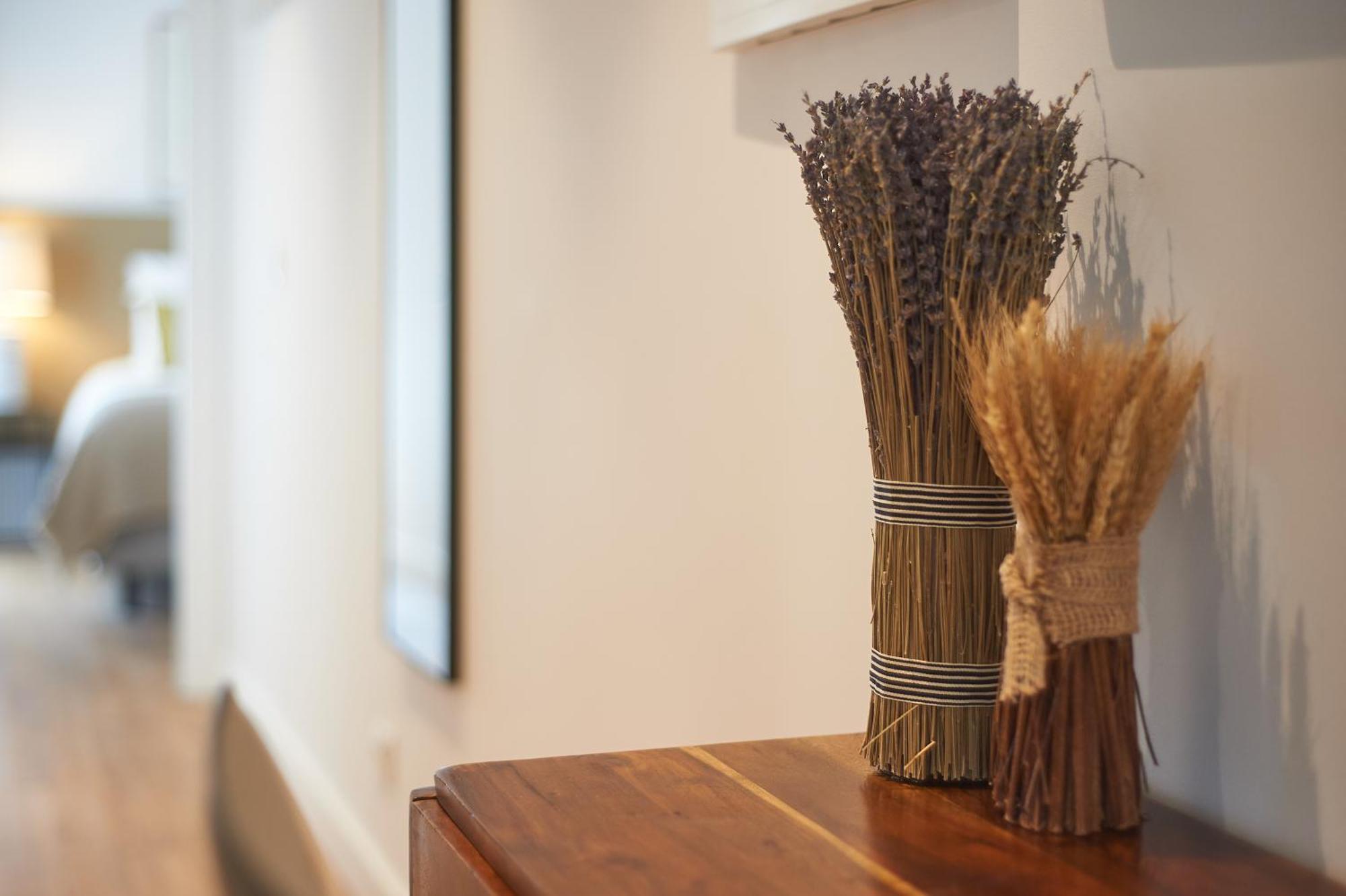 Apartamento Borealis - Bairro Alto *